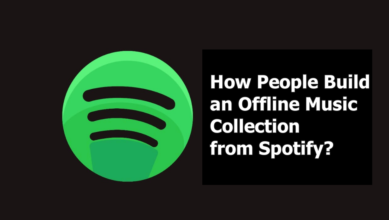 How People Build an Offline Music Collection from Spotify?