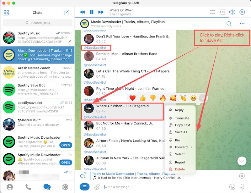 Screenshot einer Anleitung für Spotify Telegram Downloader-Bots